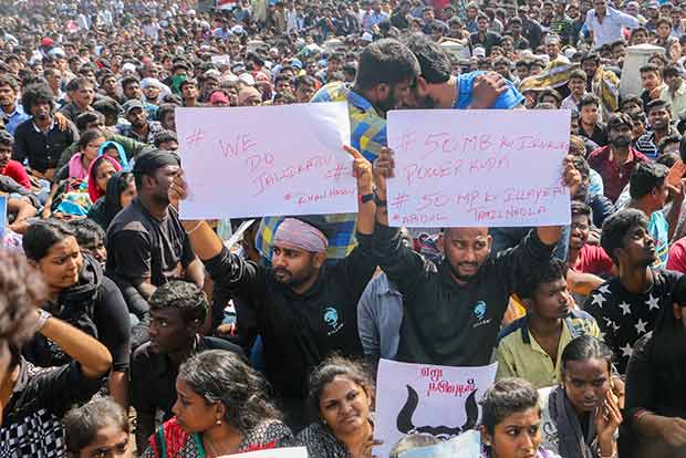 Lessons from Jallikattu Uprising Lessons from Jallikattu Uprising