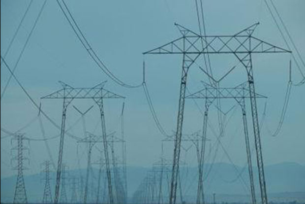 Forest department, TANGEDCO join hands to curb illegal electrification of fences