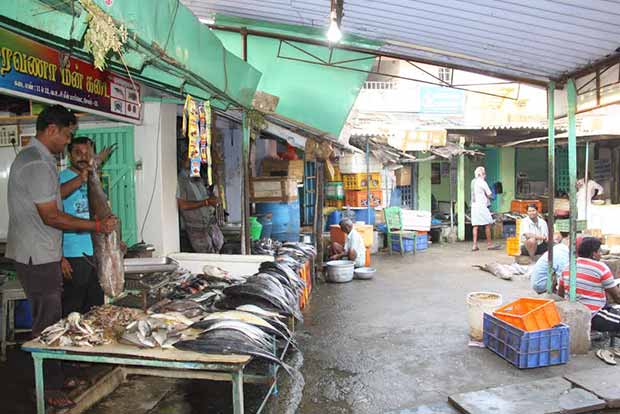 Chennai fish panic spills over to Kovai, Salem