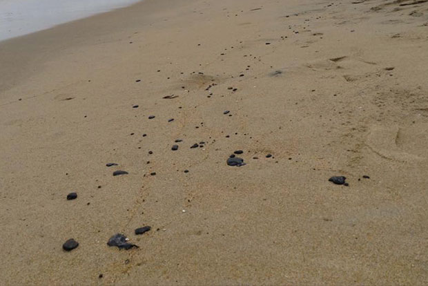 Fresh traces of oil sheen dots Mamallapuram coast