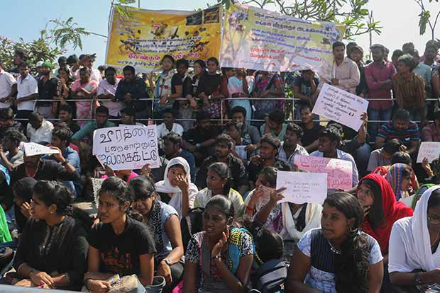 Jallikattu protesters launch party