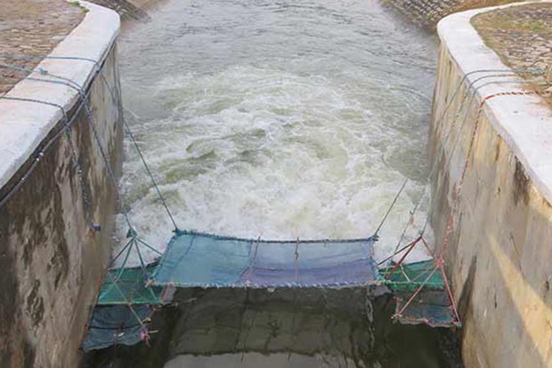 Kandaleru goes dry, inflow from Krishna reduced in Poondi