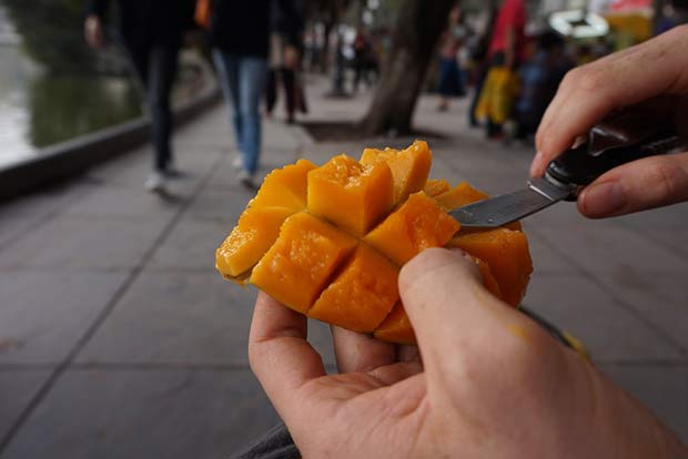 North Indian mangoes Iran-bound this year