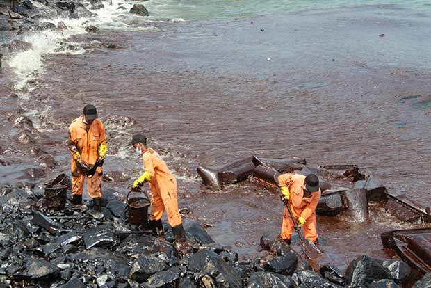 DG Shipping asked to file report on oil spill