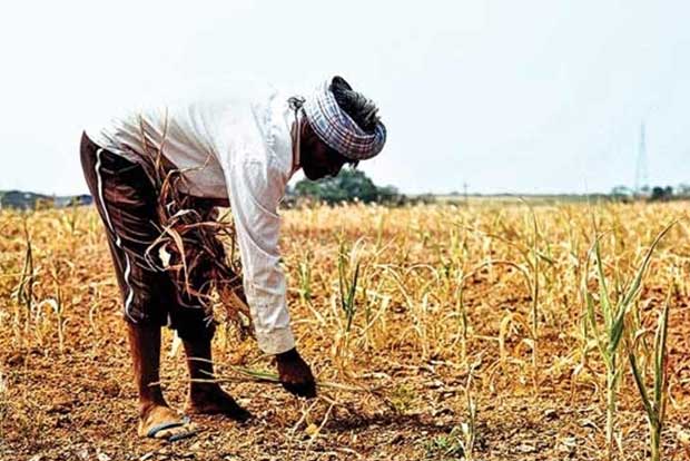 Only 58-canal scheme can save region, say farmers