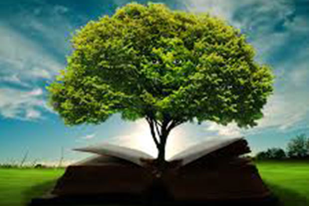 Wisdom brings lasting happiness Wisdom brings lasting happiness
