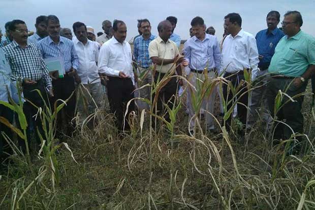 Panel fixes just Rs 2,000 crore for Tamil Nadu drought
