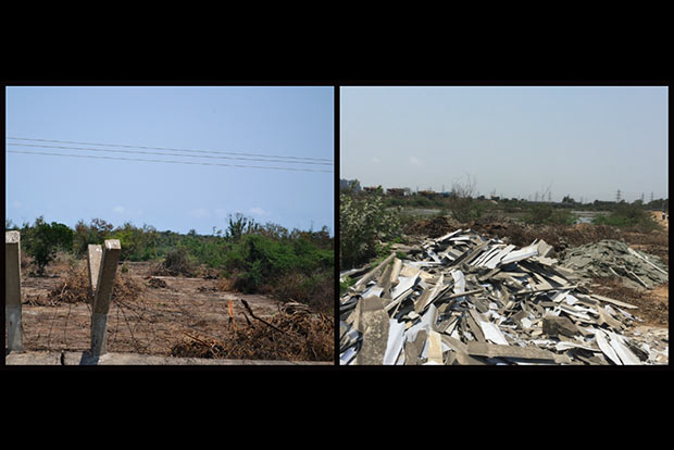 Ennore loses cool after death of greenery
