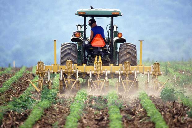 Start-ups take up initiatives to understand farming better