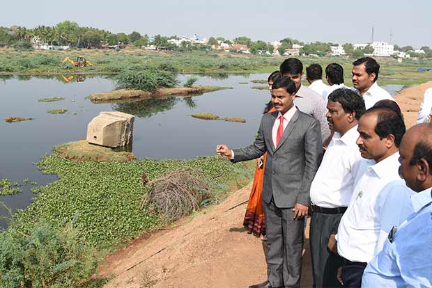 ‘Intensify drive against karuvelam in private sites’