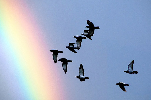 Inner peace comes from empathy Inner peace comes from empathy