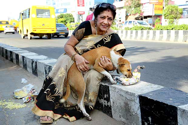 ‘Pet passion a costly affair, not for faint-hearted’ ‘Pet passion a costly affair, not for faint-hearted’