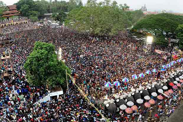 Rampant cruelty to elephants at Kerala temple festival: PETA