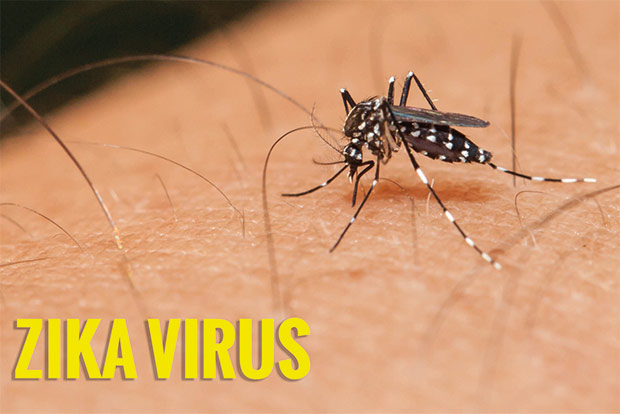 WHO confirms first three Zika virus cases in India