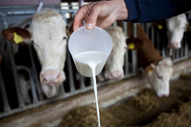Spot testing of milk in Madurai