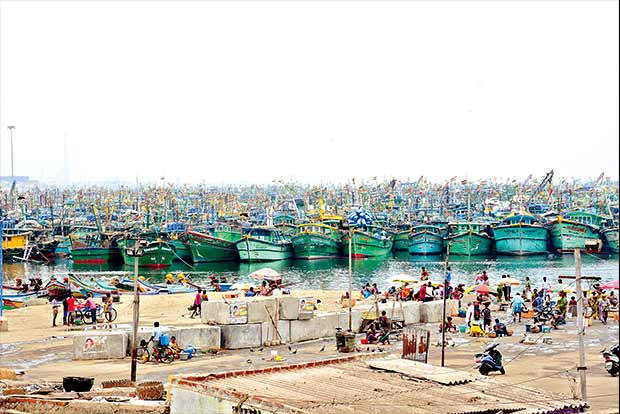 ‘Allot shops in new facility at Kasimedu’