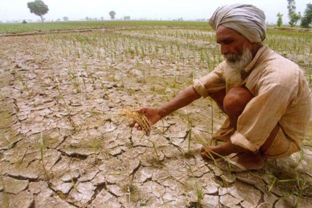 Climate change behind suicides of 59,000 farmers