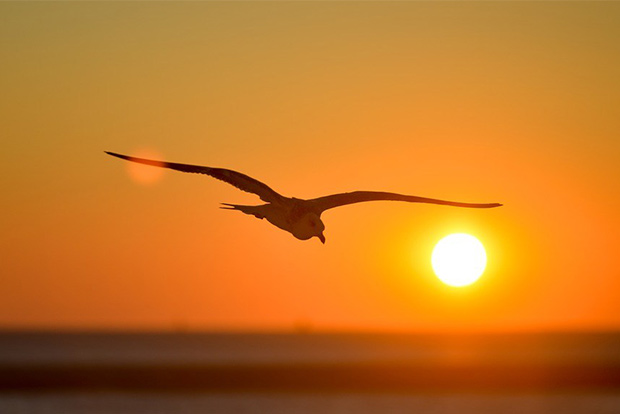 Inner peace, the only independence worth attaining Inner peace, the only independence worth attaining