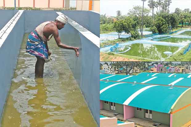 Aquatic park set to raise the bar on ornamental fish trade
