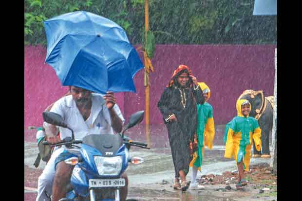 Rain likely in south and west parts of TN : RMC