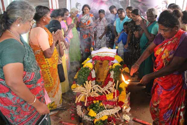 Karisalkulam bids adieu to favourite jallikattu bull Karisalkulam bids adieu to favourite jallikattu bull