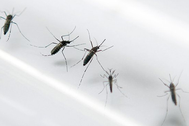3 girls die in Madurai, Tiruchy; dengue suspected