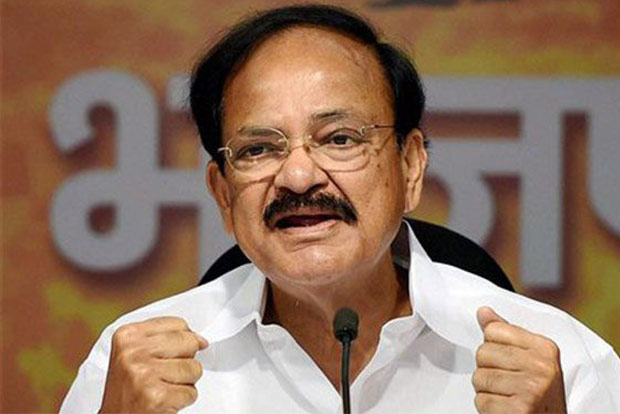 Have to take temporary pain for long-term gain: Vice President