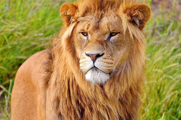 Life’s Lessons: Self-confidence, the best attribute to a rich life