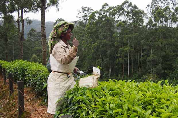 Kerala industries unstressed, farmers bear brunt