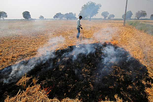 Delhi Pollution: Centre asks states to manage crop residue better