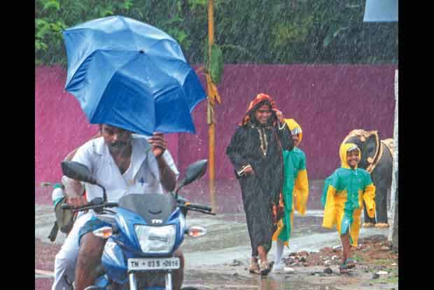 Heavy rains forecast for Tamil Nadu on May 17 and 18; revenue administration commissioner alerts 26 district Collectors