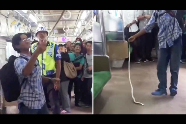 Man finds snake on train, kills it with bare hands