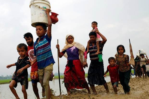 36,000 Rohingyas in India; terror links cannot be ruled out: BSF