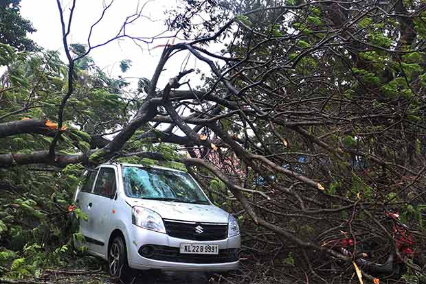 Rains hit south Tamil Nadu and Kerala as cyclone Ochki heads to Lakshadweep